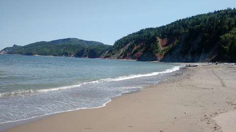 Corner of the Beach Historical Society